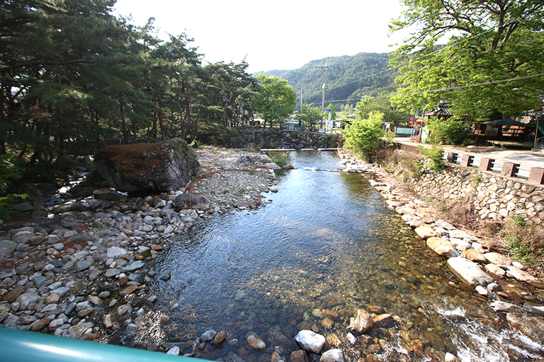 펜션 앞 계곡