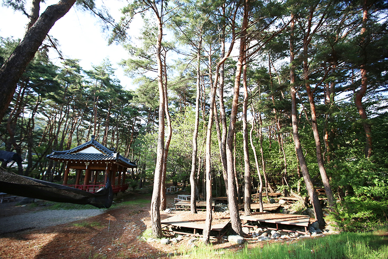 펜션 앞 계곡